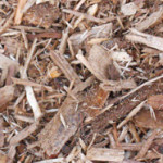 playground_mulch playground_mulch
