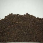 Compost-Soil CondPhoto 1 Compost-Soil CondPhoto 1