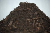 Erosion Control Compost Photo 1