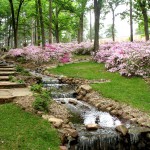 Spring Garden