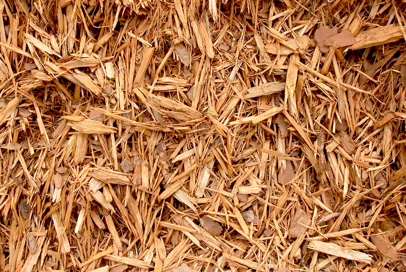 cedar mulch atlantic mulch cedar mulch atlantic mulch