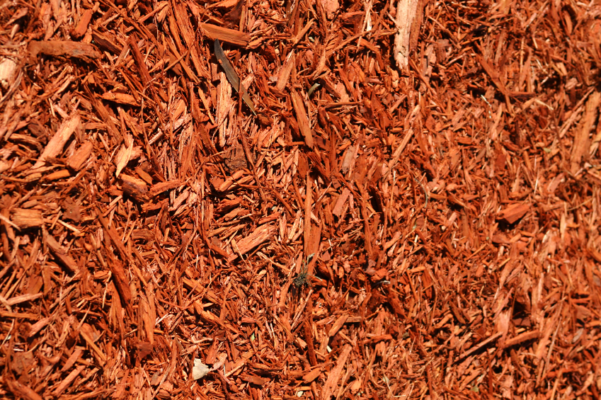 Red Colored Designer Mulch Atlantic Mulch Effy Moom Free Coloring Picture wallpaper give a chance to color on the wall without getting in trouble! Fill the walls of your home or office with stress-relieving [effymoom.blogspot.com]