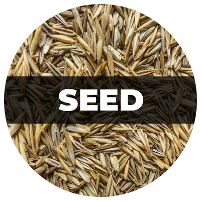 Atlantic Mulch - Seed Circle